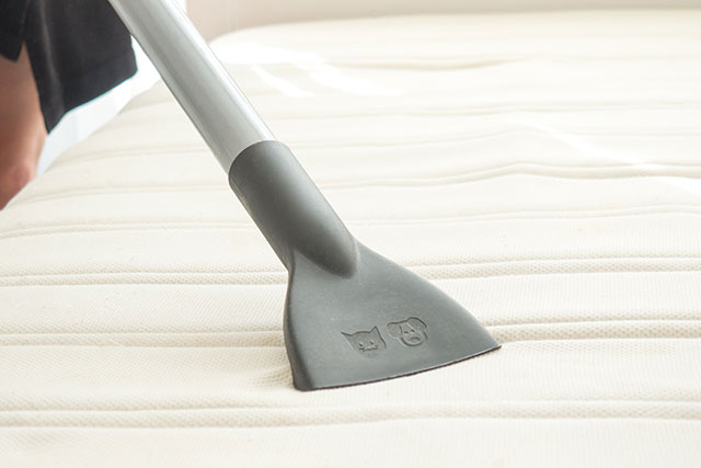 end of lease cleaners