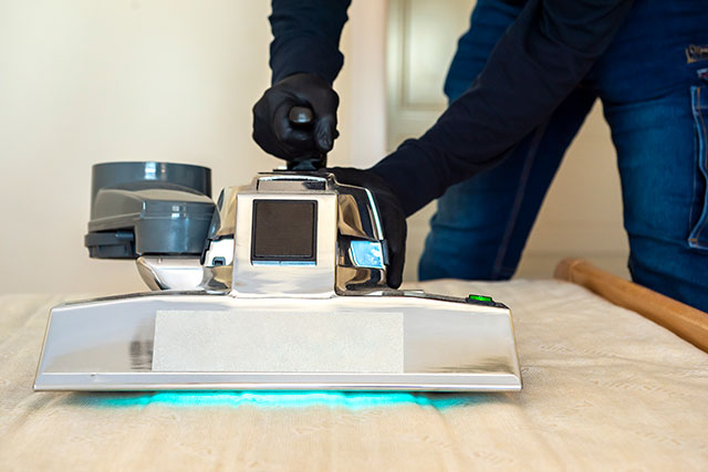 melbourne carpet cleaning