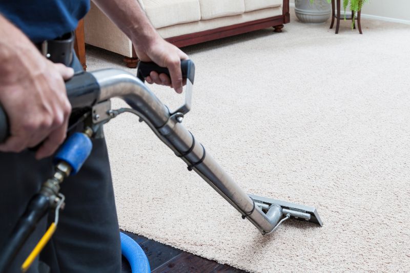 Rugs cleaning Melbourne